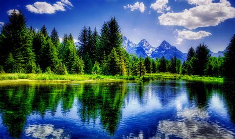 background wallpaper nature